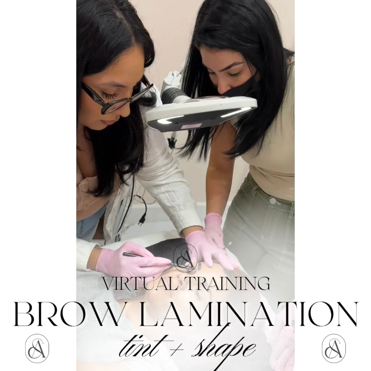 VIRTUAL Brow Lamination & Tint Training