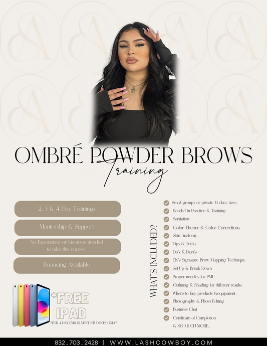 Ombré Powder Brows Training